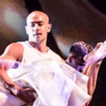 Take Root Dance Company to Present ORDER TO DISORDER at OU