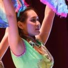 The Met To Host Lunar New Year Festival To Celebrate Year Of Rooster, 2/5