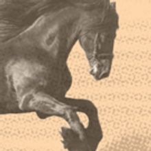 Tapestry Opera to Stage World Premiere of ROCKING HORSE WINNER