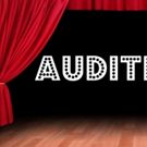 Nashville-Area Auditions Calendar 5/24/16