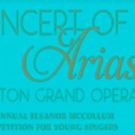 Houston Grand Opera Announces Finalists For CONCERT OF ARIAS on Facebook Live