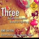 BWW Reviews: New Plays and Lovely Ladies in Boston Public Works Theater Company's…