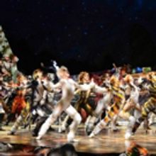 Video Roundup: CATS Pounces Back to Broadway- Meet the Cast!