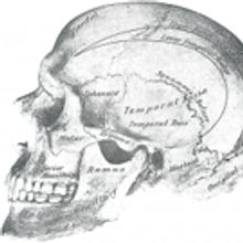 The Players' Ring to Open Summer Late Night Season with HEADSHOTS
