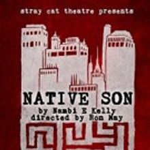 Stray Cat Theatre presents NATIVE SON