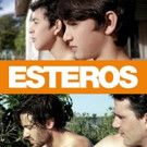 Engaging LGBT Drama ESTEROS on DVD/VOD from Breaking Glass Pictures