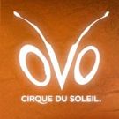 Cirque du Soleil Returning to Cleveland for Limited Run in 2016