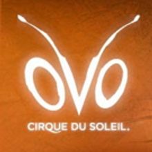 Cirque du Soleil Returning to Cleveland for Limited Run in 2016