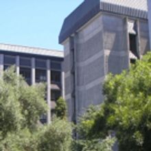 Top Performing Arts Universities in New Zealand!