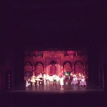 BWW Blog: Cheyenne Dalton - THE NUTCRACKER or the Week of Finals