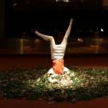 FLY BY NIGHT to Premiere at Nite Art 2015