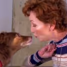 STAGE TUBE: SYLVIA's Four-Legged Press Correspondent Meets The Cast