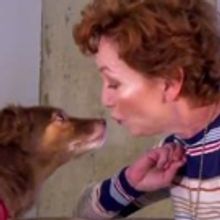 STAGE TUBE: SYLVIA's Four-Legged Press Correspondent Meets The Cast