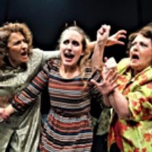 BWW Review: WHERE THERE'S A WILL at Theatre Three