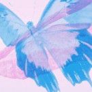 Callen-Lorde to Host Annual Event Celebrating Trans and Gender Non-Conforming Leaders