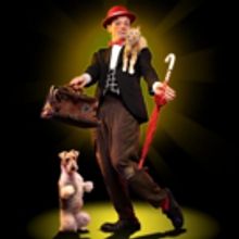 Popovich Comedy Pet Theater Comes to BTG's Colonial Theatre This Month