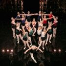 Photo Flash: The School of American Ballet's 2016 WINTER BALL Raises Nearly $1.2…