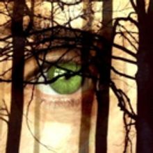 Theatre PANIK to Present Canadian Premiere of STRANGERS, BABIES