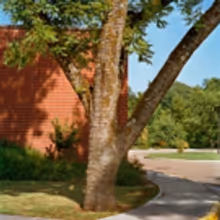 David Zwirner Gallery Announces Exclusive Representation of William Eggleston