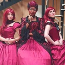 BWW Preview: Shrek Meets Fantasia in New Take on CINDERELLA at PASA