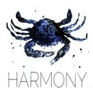 The Arctic Group Presents HARMONY at Dixon Place and HERE Arts