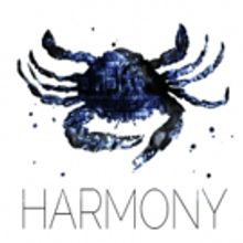 The Arctic Group Presents HARMONY at Dixon Place and HERE Arts
