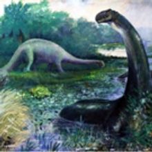 On Site Opera Presents RHODA AND THE FOSSIL HUNT, Premieres In Fall 2017