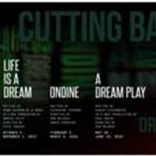 Cutting Ball Theater Launches Search for New Managing Director