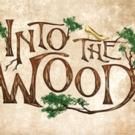 Heather Headley Leads Starry Cast of INTO THE WOODS, Beginning Tonight at The Muny