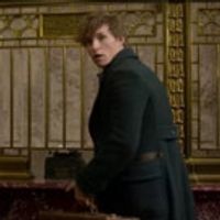 VIDEO: Watch New Featurette for FANTASTIC BEASTS AND WHERE TO FIND THEM Video