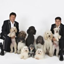 Landmark's Going To The Dogs – The Olate Dogs!