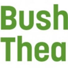 Bush Theatre Sets PINK MIST Cast