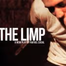 HAMILTON's Daveed Diggs Stars in Staged Reading of THE LIMP Today
