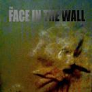 Science Fiction Action Movie THE FACE IN THE WALL DVD Releases This July