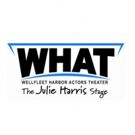 COCK Opens 6/16 at WHAT