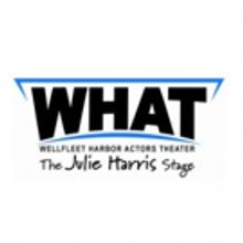 COCK Opens 6/16 at WHAT