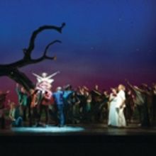 Announcing the 77th Opera Season in Miami & Fort Lauderdale