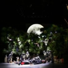 Phantom Limb Company to Bring Eco-Fable to BAM with MEMORY RINGS