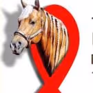 10th Annual Saddle Up LA Country BBQ Dinner Performers Set