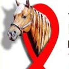 10th Annual Saddle Up LA Country BBQ Dinner Performers Set