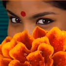 Musical Adaptation of MONSOON WEDDING Heading to Broadway