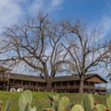 We Players Announces Cast of ROMEO & JULIET