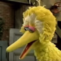 VIDEO: JIMMY KIMMEL Presents 'Seasame Street'/'True Detective' Mash-Up Video