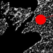 BWW Review: BEIRUT ADRENALINE Gives Audiences Rawness and Reality at Downstairs At Be