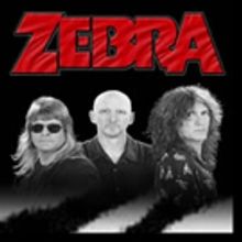 ZEBRA Celebrates 40 Years with Special Thanksgiving Eve Performance in Patchogue…