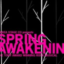 Area Stage Company and Conservatory to Present SPRING AWAKENING