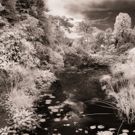 PB Photo Centre to Present John Reuter's SECOND IMPRESSIONS