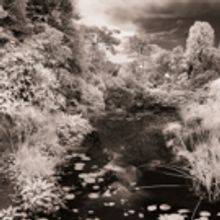 PB Photo Centre to Present John Reuter's SECOND IMPRESSIONS