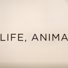 A&E to Premiere Acclaimed Original Documentary Feature Film LIFE, ANIMATED, Today