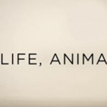 A&E to Premiere Acclaimed Original Documentary Feature Film LIFE, ANIMATED, Today